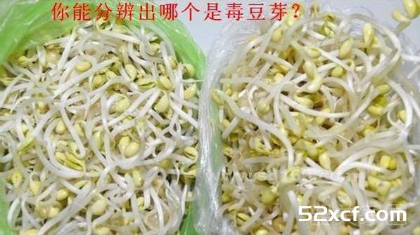 豆芽有毒是怎么回事？哪些原因导致的？