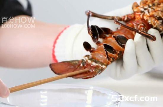 波士顿龙虾怎么处理？波士顿龙虾的清洗方法图解