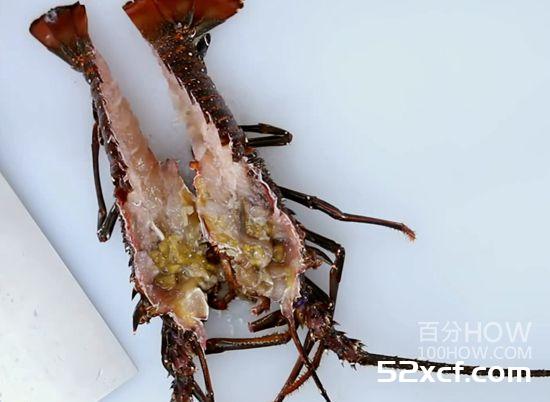波士顿龙虾怎么处理？波士顿龙虾的清洗方法图解