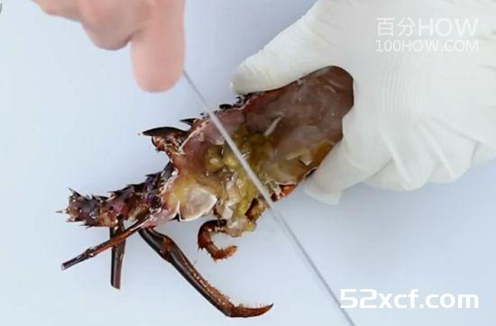 波士顿龙虾怎么处理？波士顿龙虾的清洗方法图解
