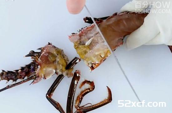 波士顿龙虾怎么处理？波士顿龙虾的清洗方法图解