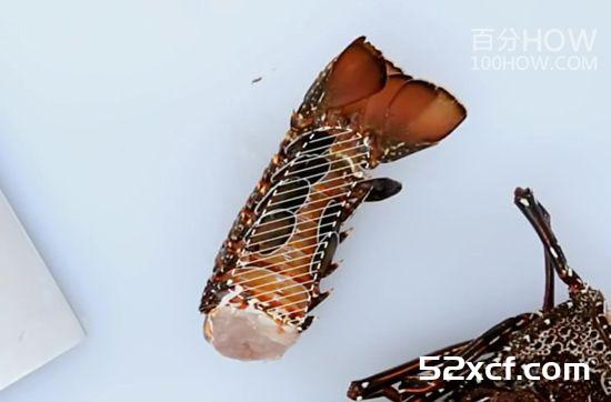 波士顿龙虾怎么处理？波士顿龙虾的清洗方法图解