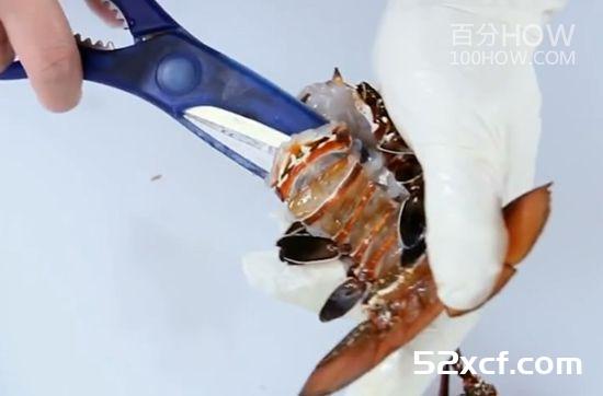 波士顿龙虾怎么处理？波士顿龙虾的清洗方法图解