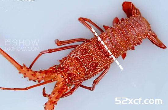 波士顿龙虾怎么处理？波士顿龙虾的清洗方法图解