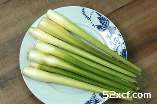 R白笋的挑选方法图解