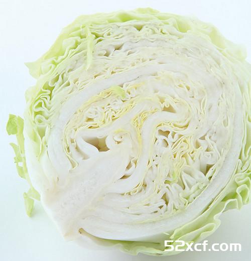 卷心菜的选购技图解
