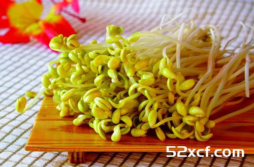 春天清火多吃8类芽菜花茶