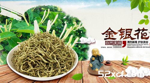 春天清火多吃8类芽菜花茶